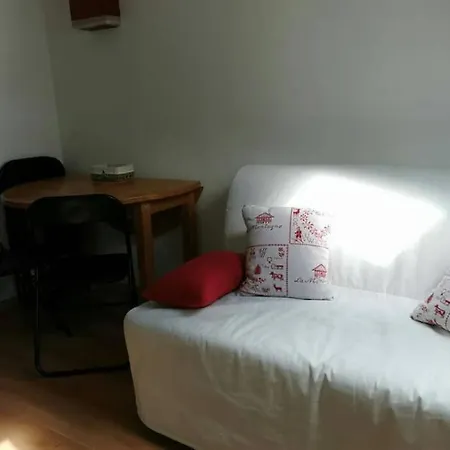 Petit Mansarde 18 M2 Avec Piscine Gratuite Lägenhet *